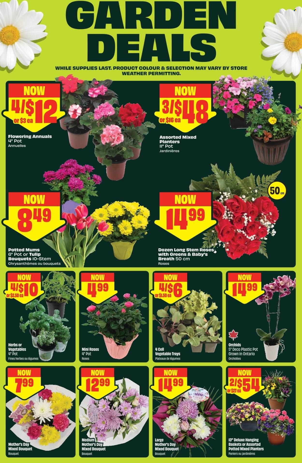FreshCo. flyer - May 07, 2026 - May 13, 2026. Page 5