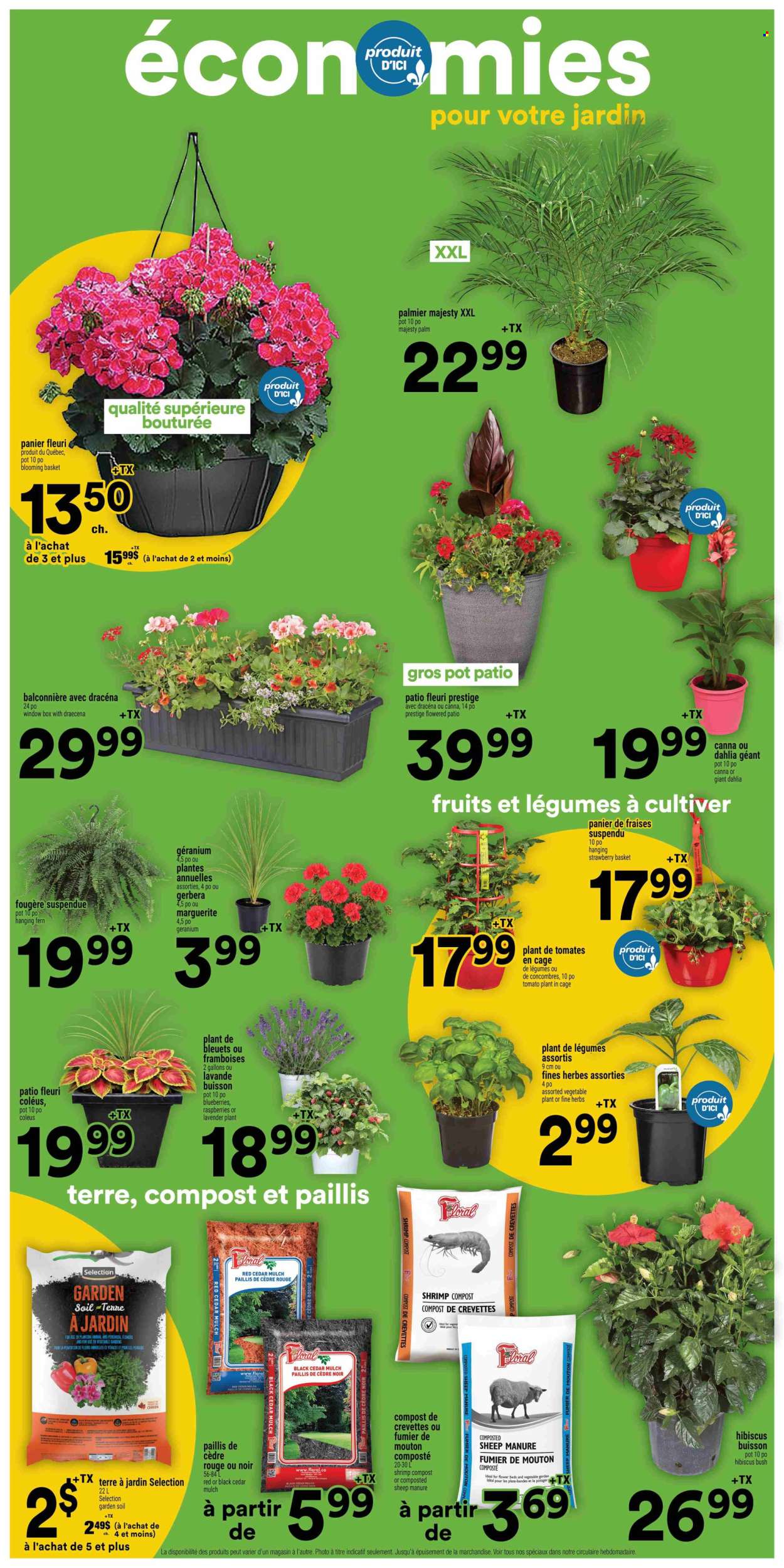 Super C flyer - May 14, 2026 - May 20, 2026. Page 13