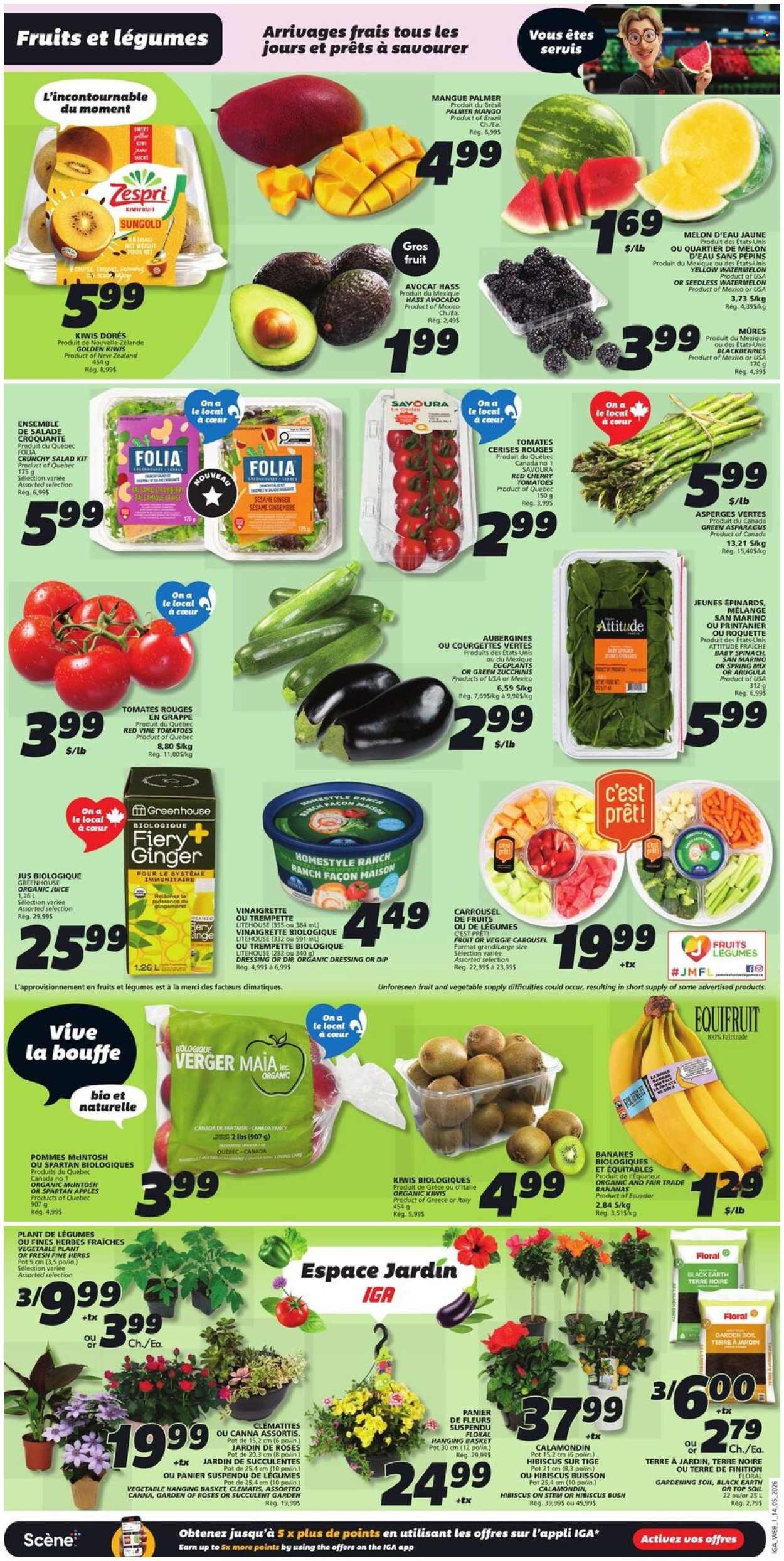 IGA flyer - May 14, 2026 - May 20, 2026. Page 3
