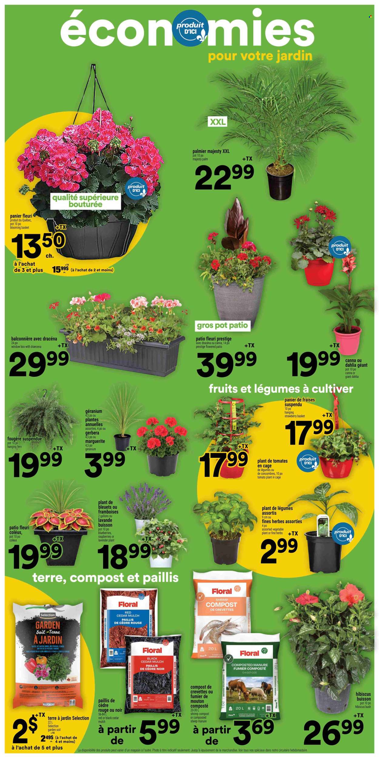 Super C flyer - May 21, 2026 - May 27, 2026. Page 13