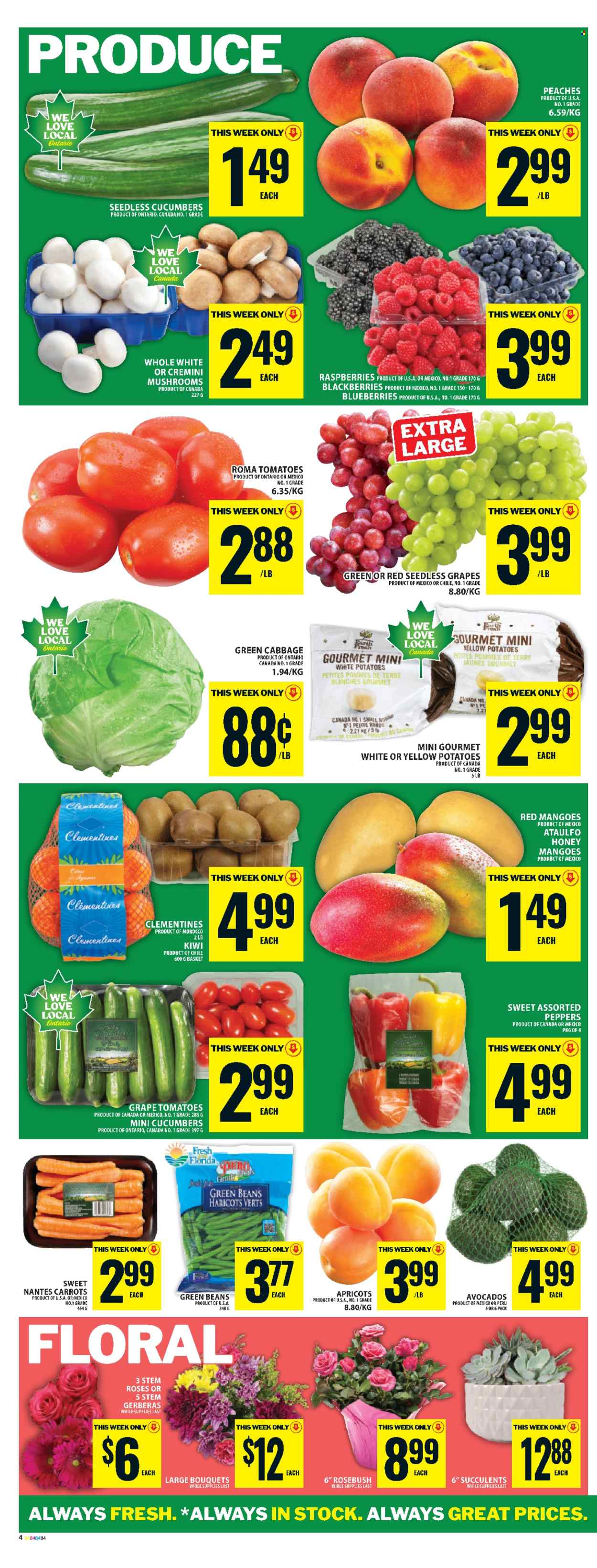 Food Basics flyer - May 21, 2026 - May 27, 2026. Page 7
