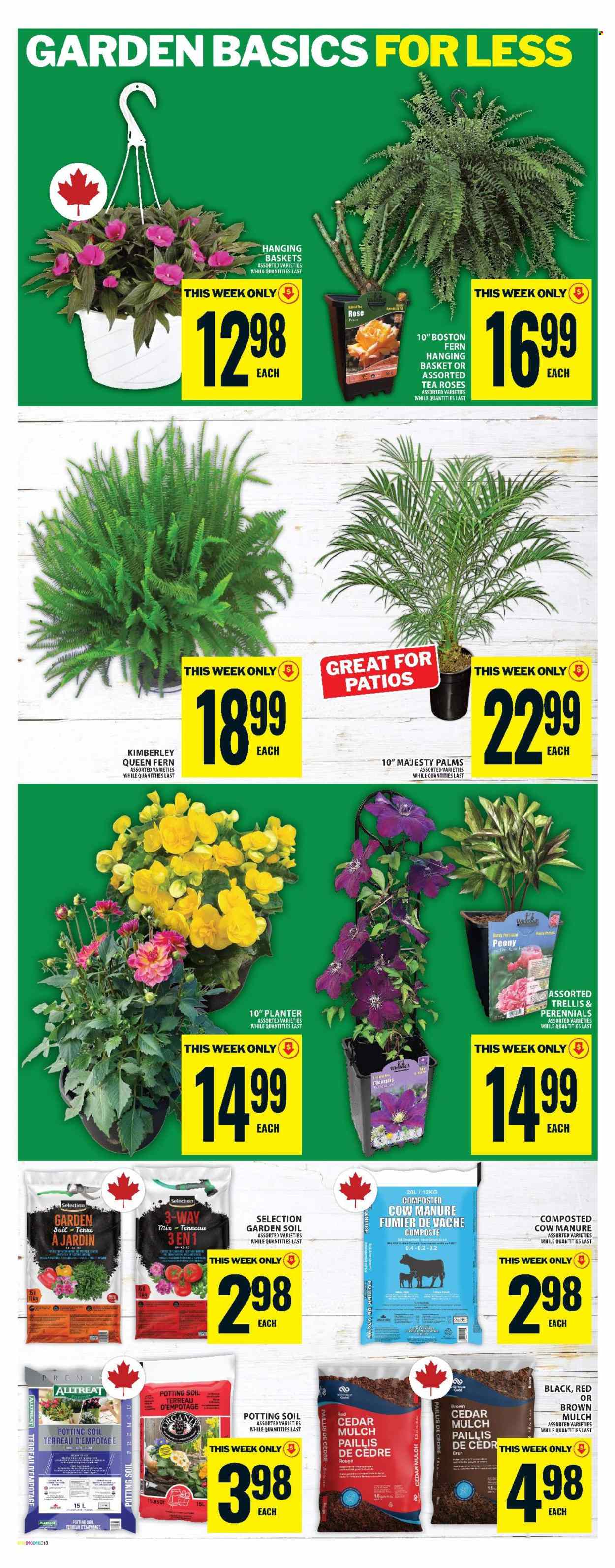 Food Basics flyer - May 21, 2026 - May 27, 2026. Page 16
