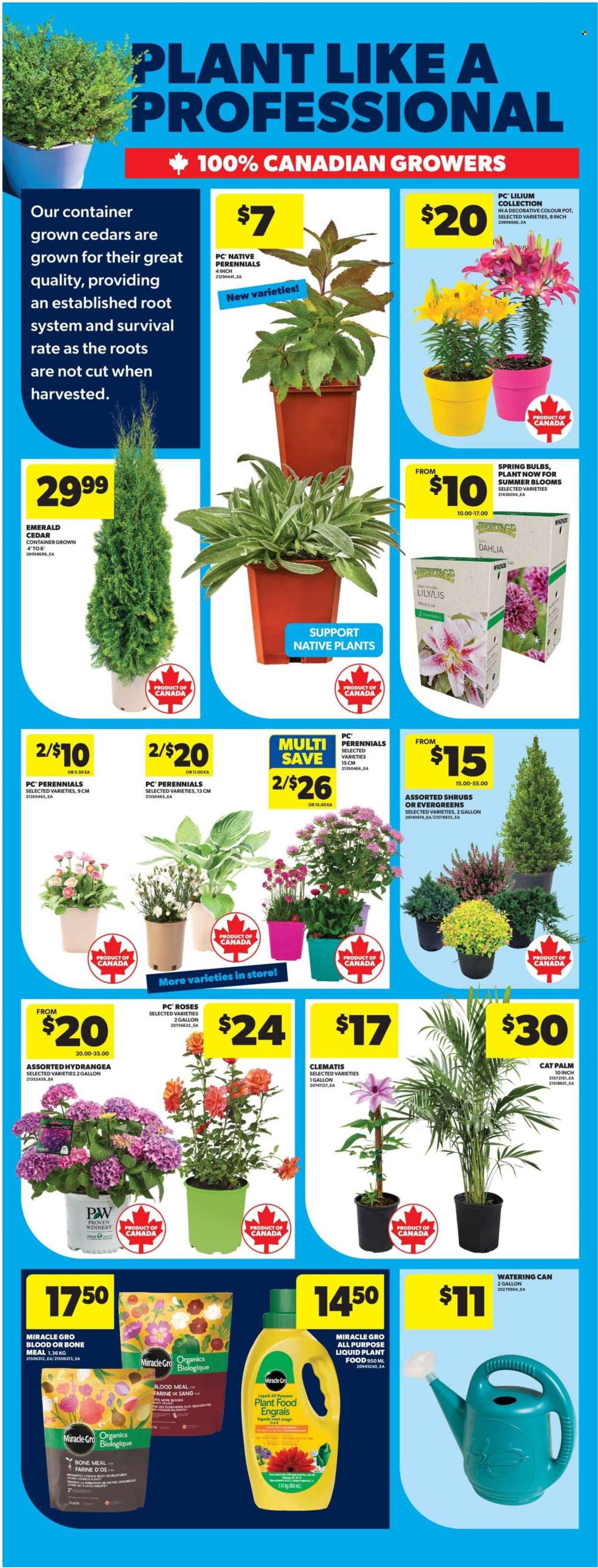 Real Canadian Superstore flyer - May 28, 2026 - June 03, 2026. Page 48