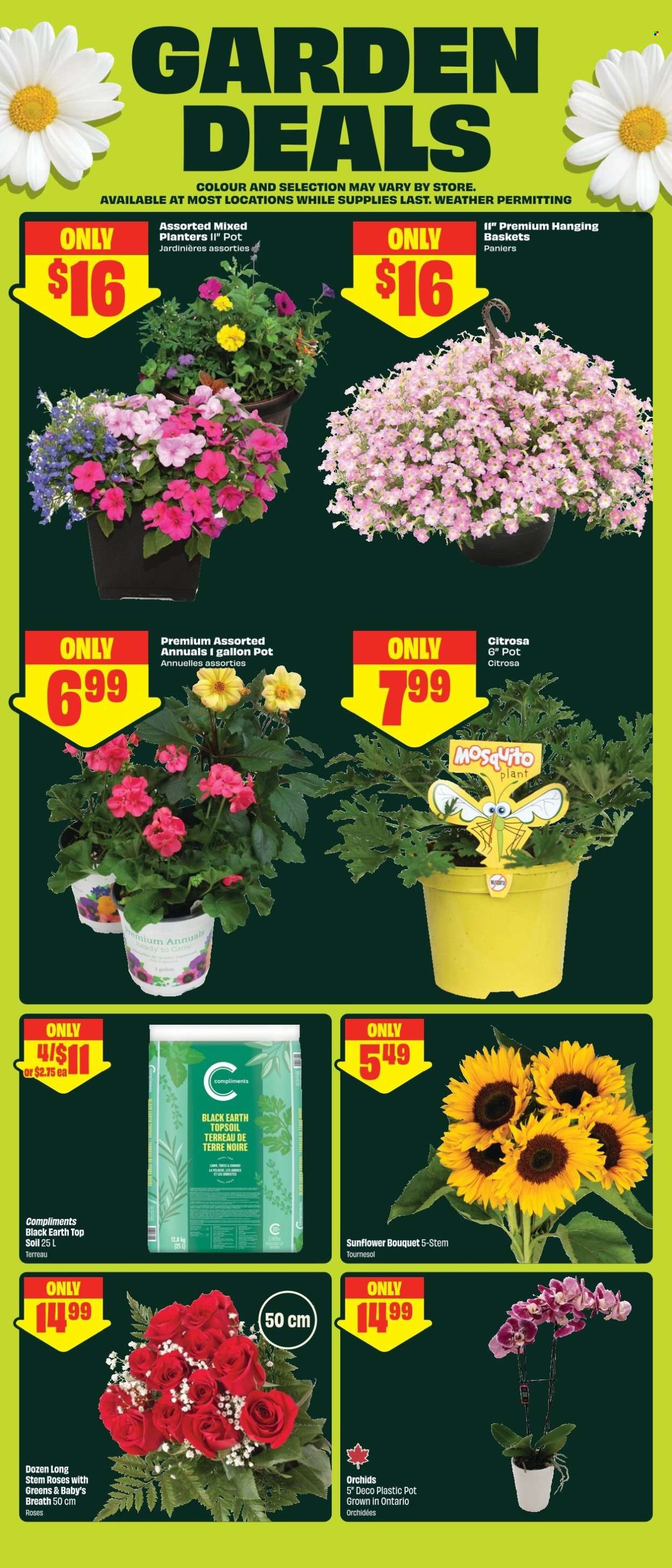 Chalo! FreshCo. flyer - May 28, 2026 - June 03, 2026. Page 5