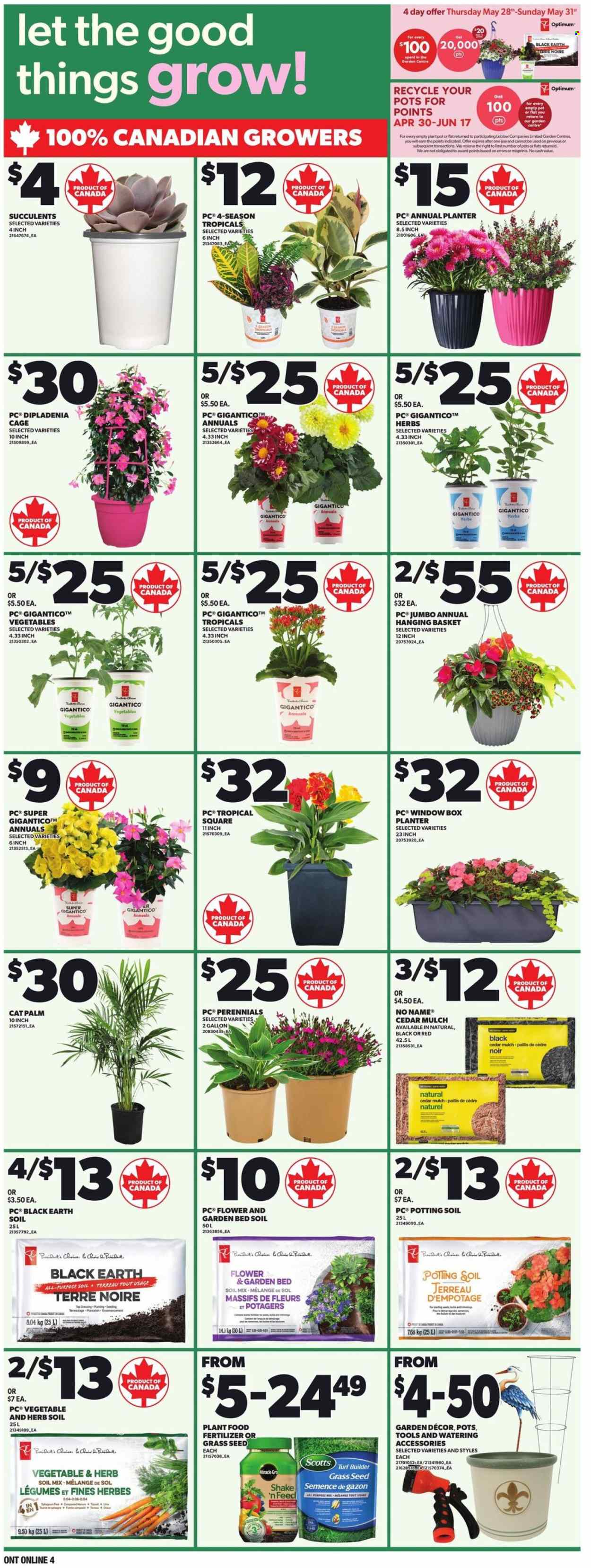 Independent flyer - May 28, 2026 - June 03, 2026. Page 8