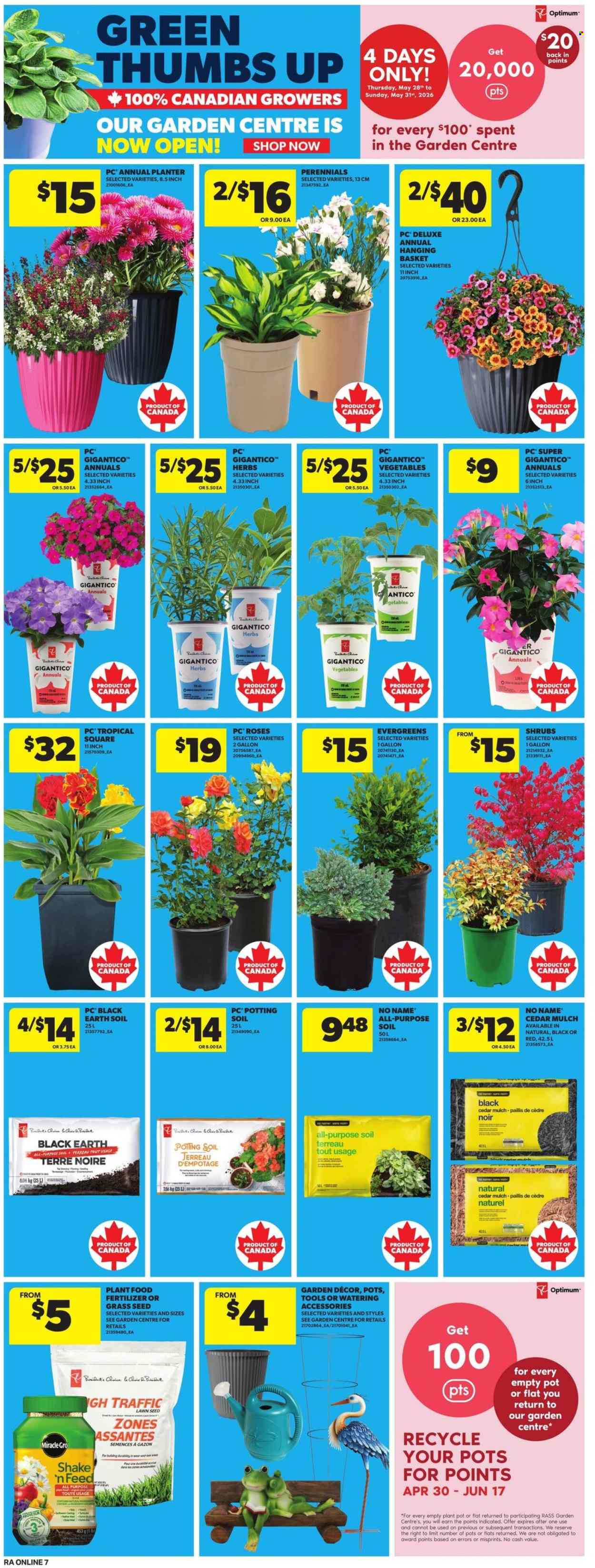 Atlantic Superstore flyer - May 28, 2026 - June 03, 2026. Page 14