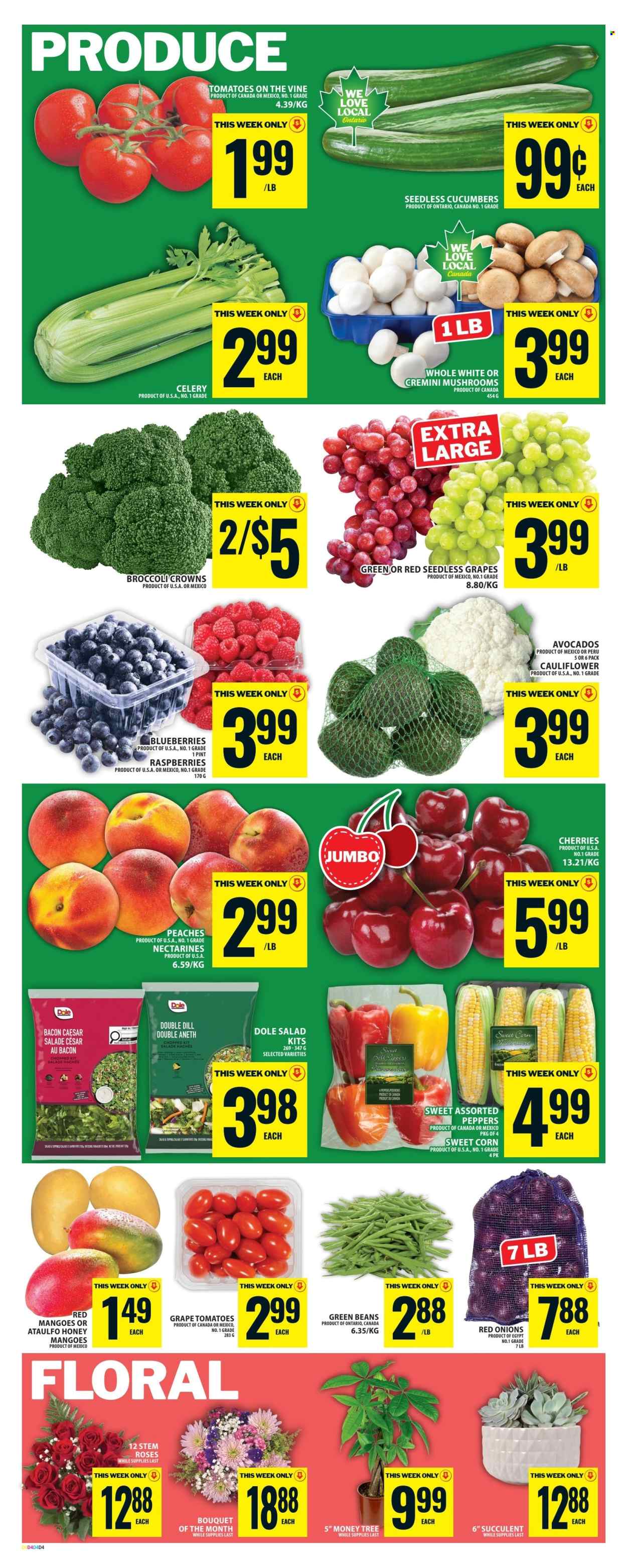 Circulaire Food Basics - 11 Juin 2026 - 17 Juin 2026. Page 7