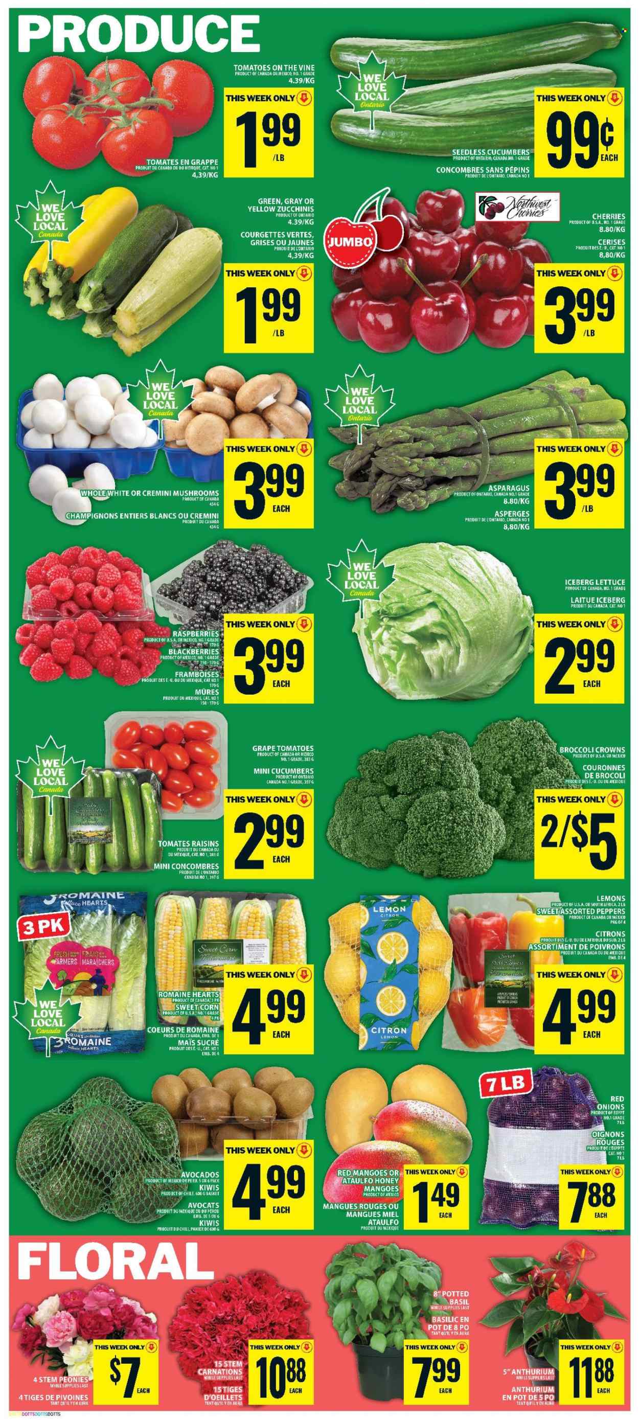 Circulaire Food Basics - 25 Juin 2026 - 01 Juillet 2026. Page 6