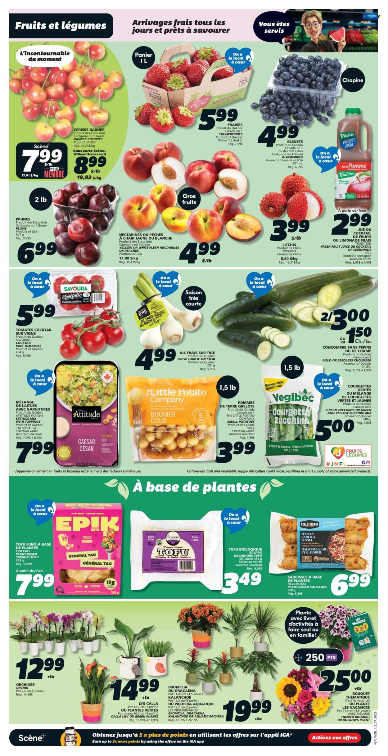 IGA flyer - July 02, 2026 - July 08, 2026. Page 3
