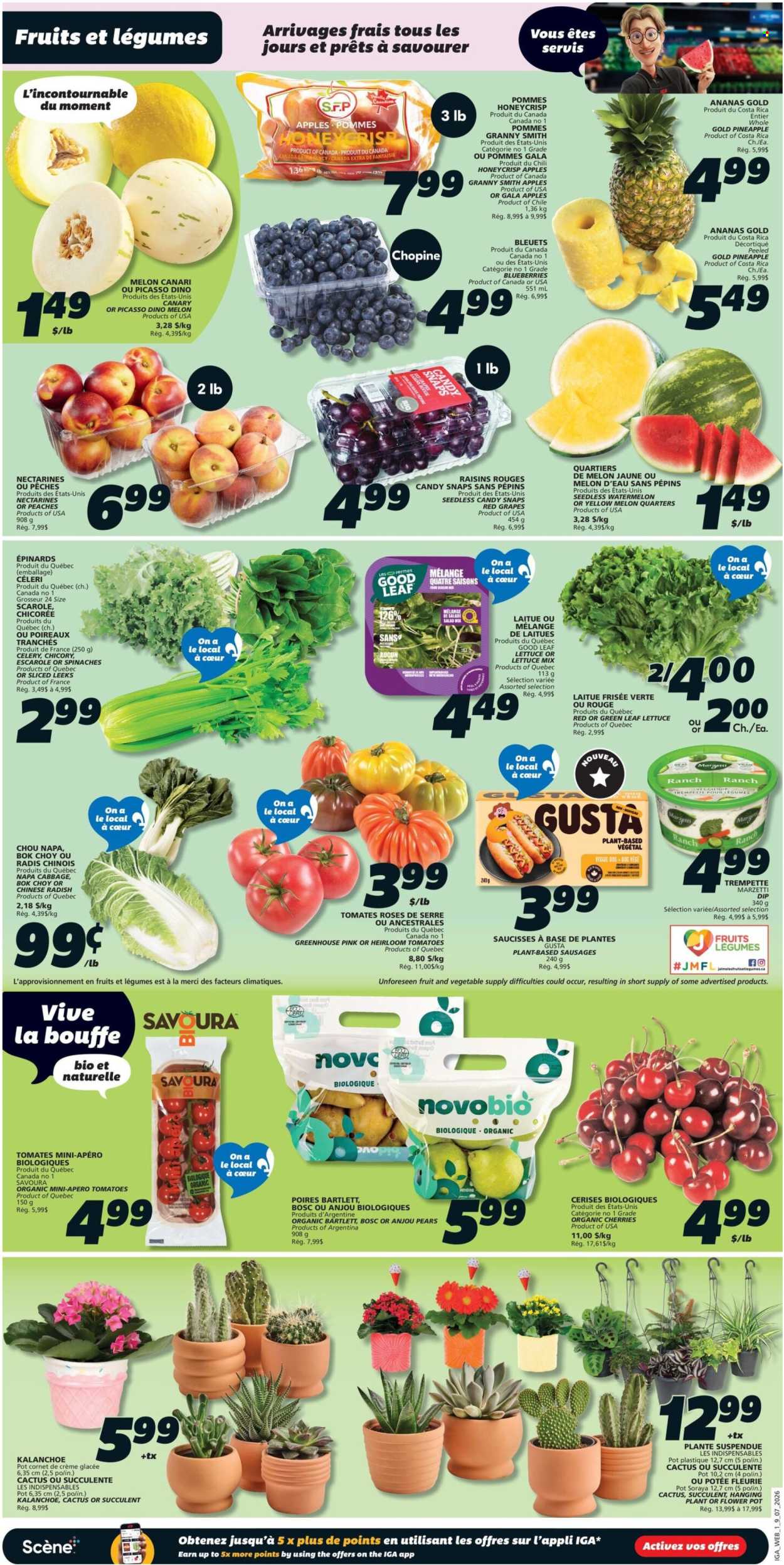 Circulaire IGA Simple Goodness - 09 Juillet 2026 - 15 Juillet 2026. Page 3