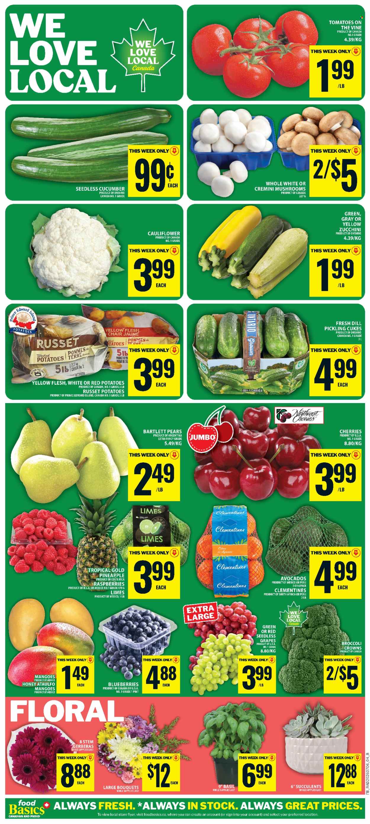 Circulaire Food Basics - 09 Juillet 2026 - 15 Juillet 2026. Page 8