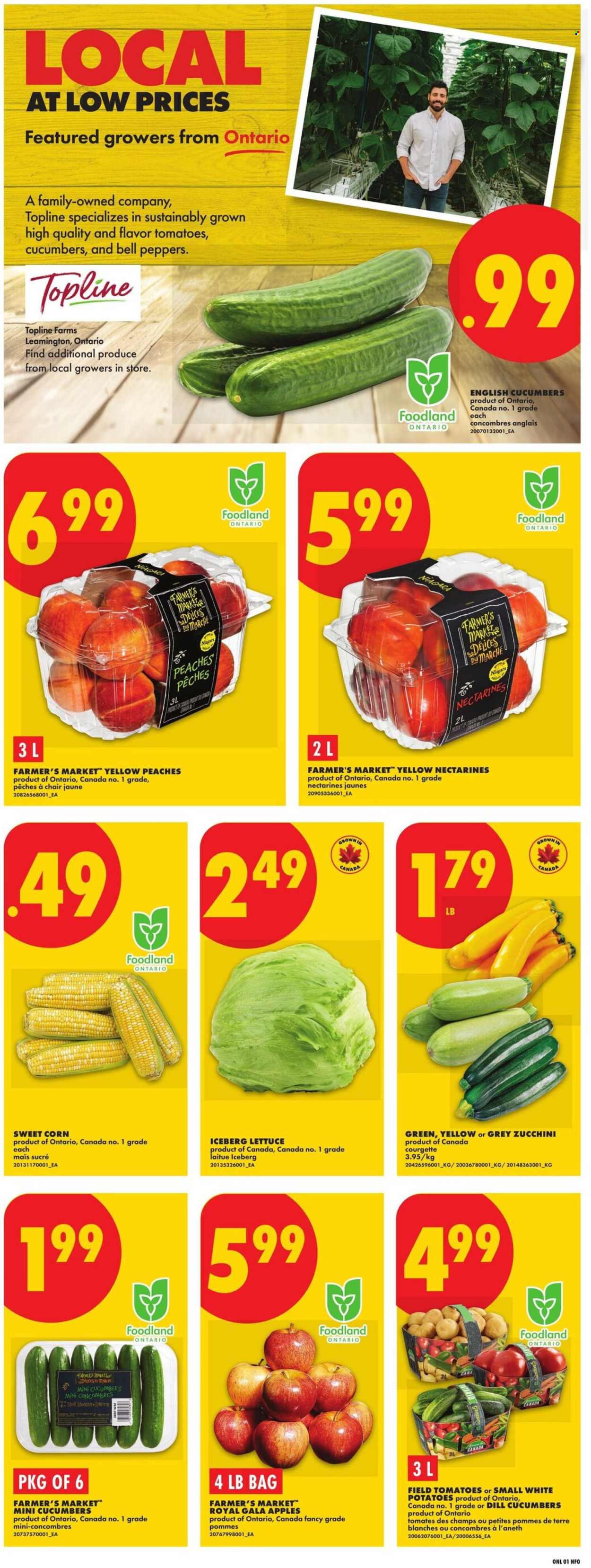 No Frills flyer - August 06, 2026 - August 12, 2026. Page 3