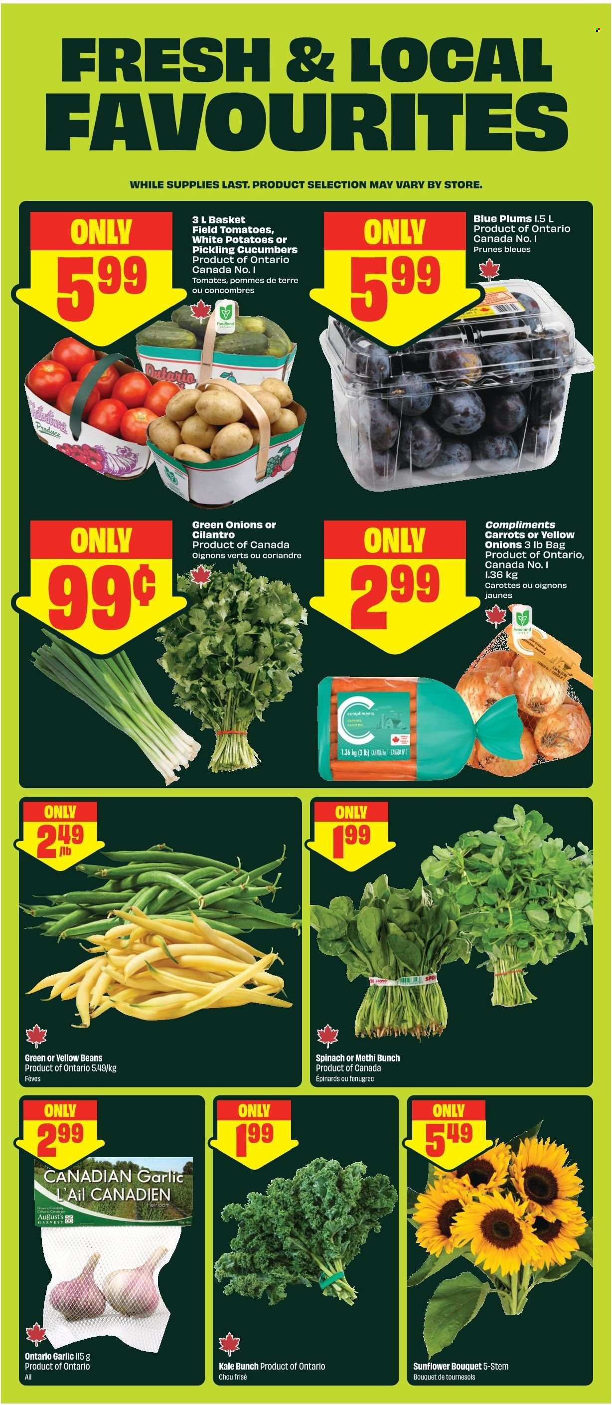 FreshCo. flyer - August 13, 2026 - August 19, 2026. Page 5