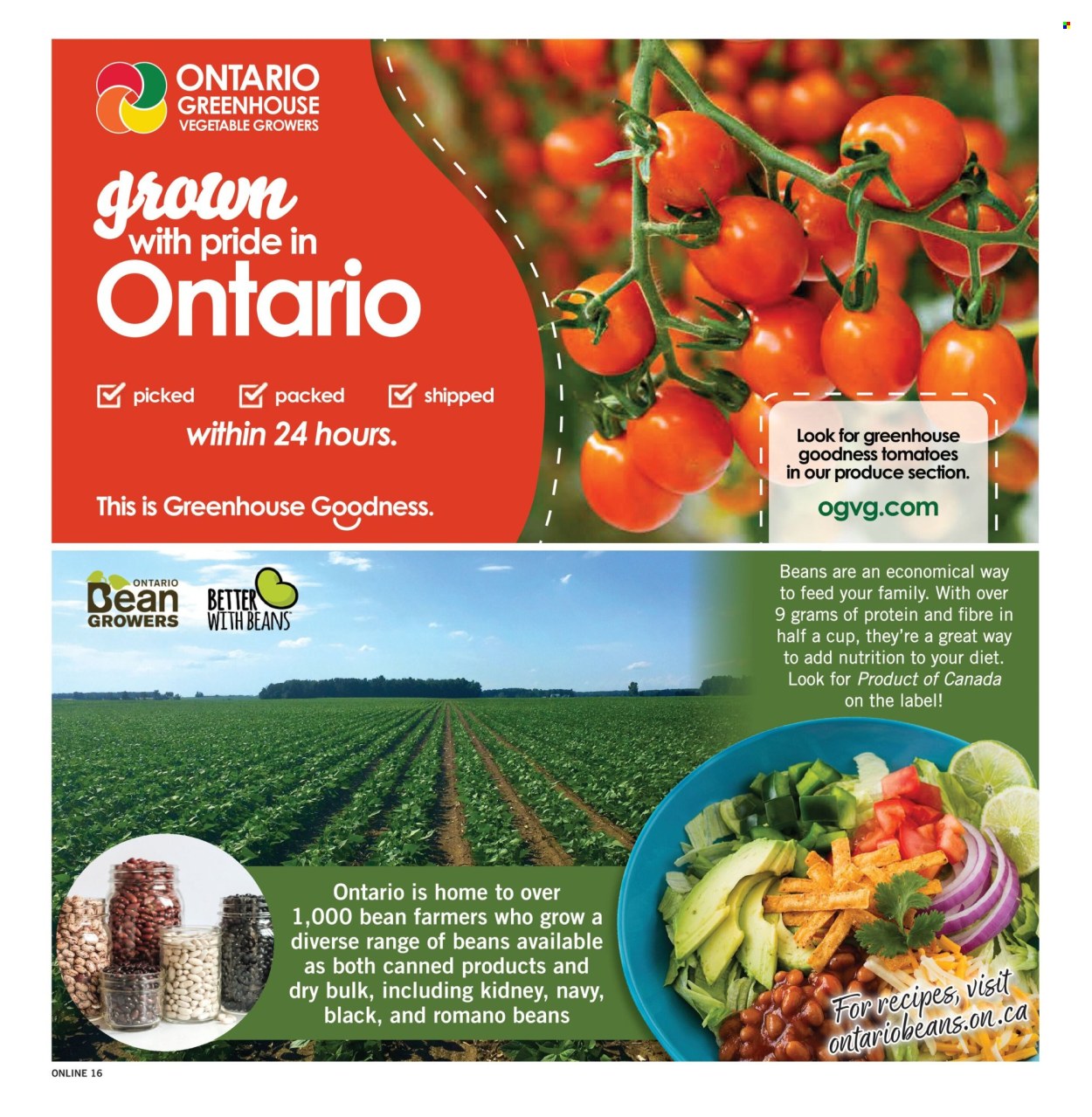 Fortinos flyer - August 13, 2026 - August 19, 2026. Page 16