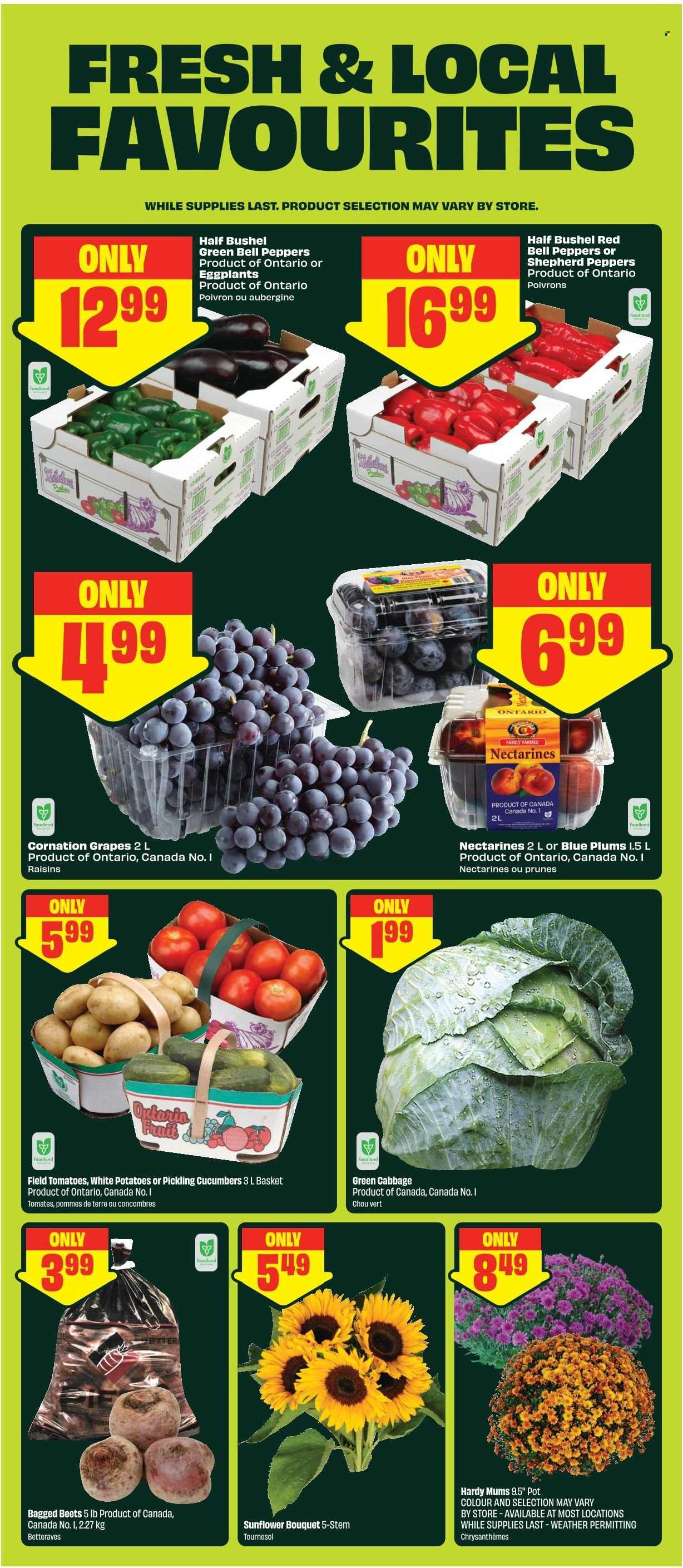 Circulaire FreshCo. - 27 Août 2026 - 02 Septembre 2026. Page 5