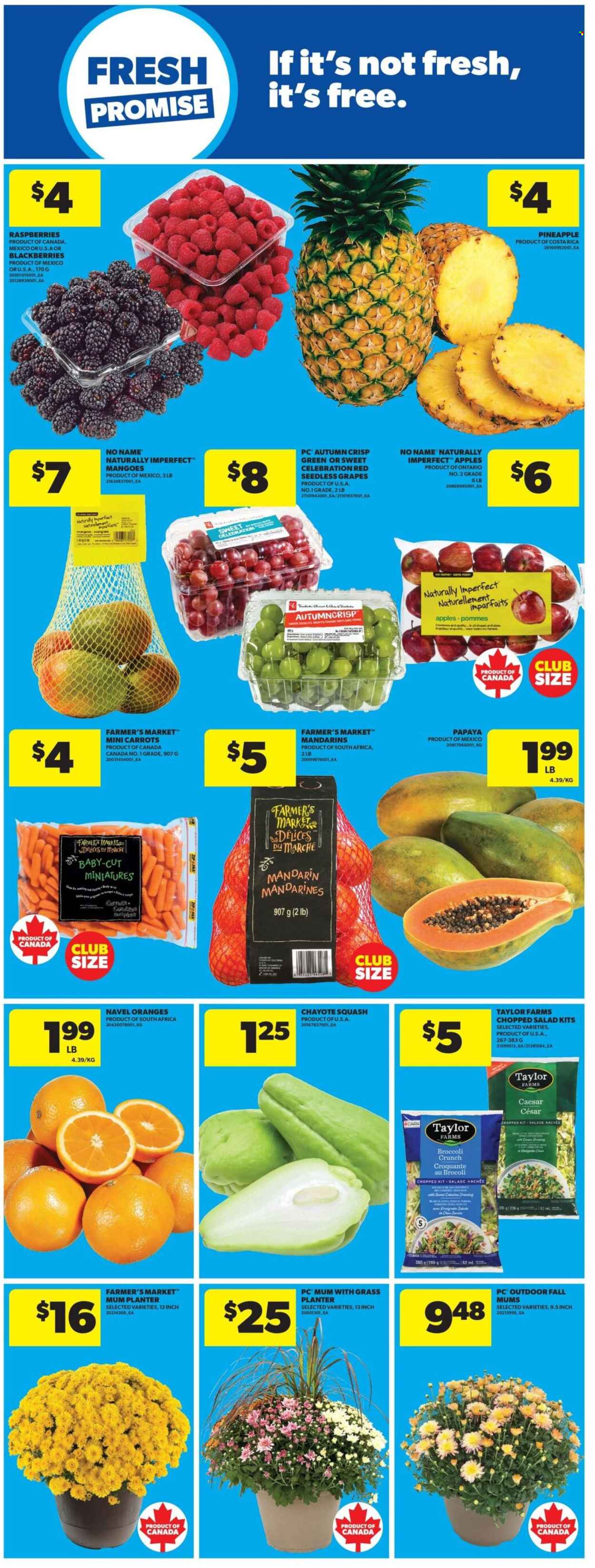 Real Canadian Superstore flyer - September 03, 2026 - September 09, 2026. Page 14