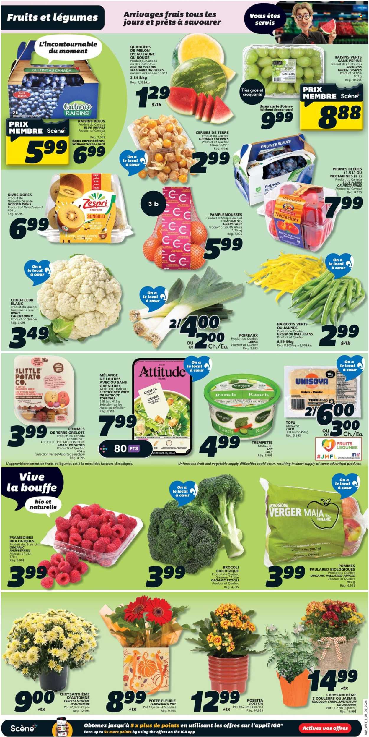 IGA flyer - September 03, 2026 - September 09, 2026. Page 6