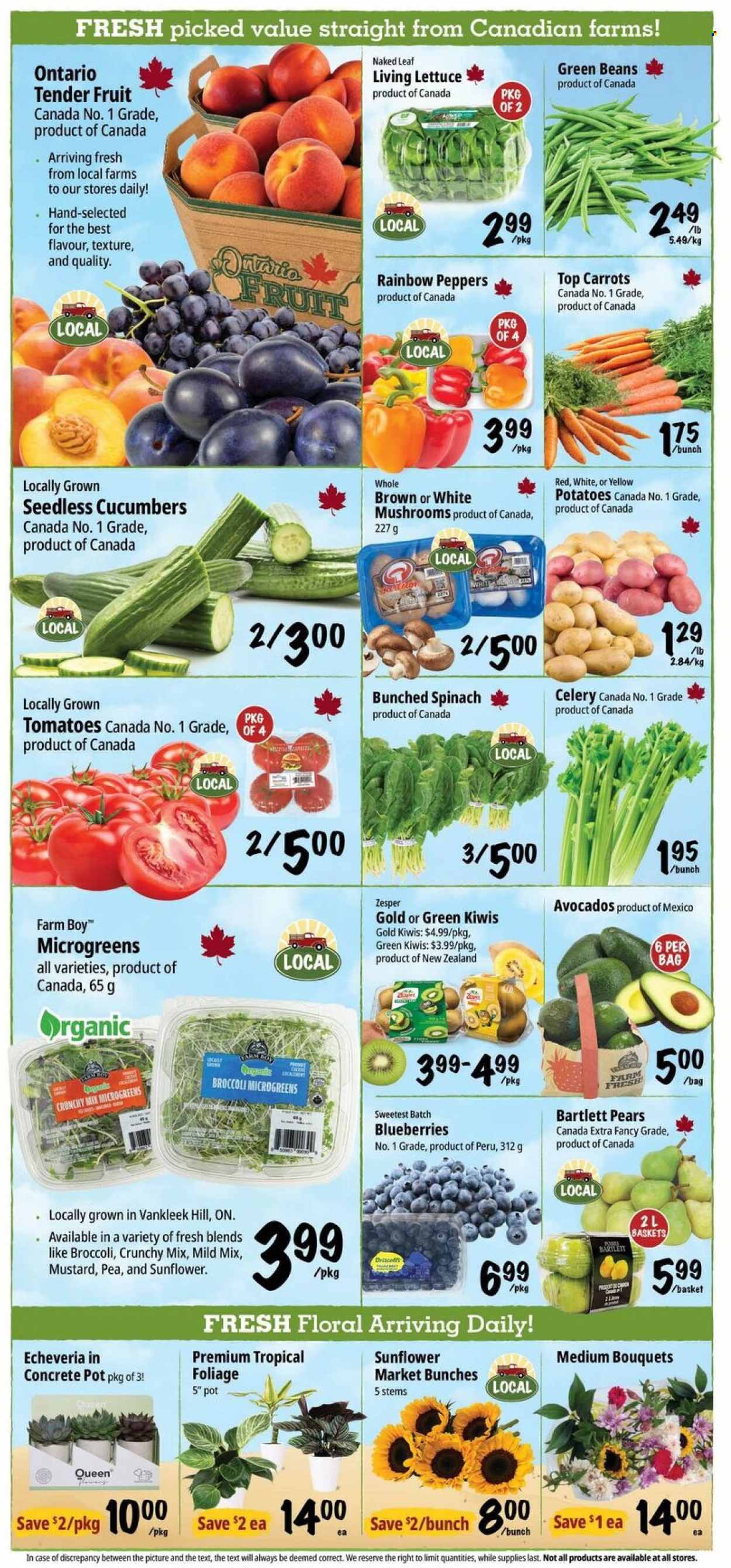 Farm Boy flyer - September 03, 2026 - September 09, 2026. Page 4