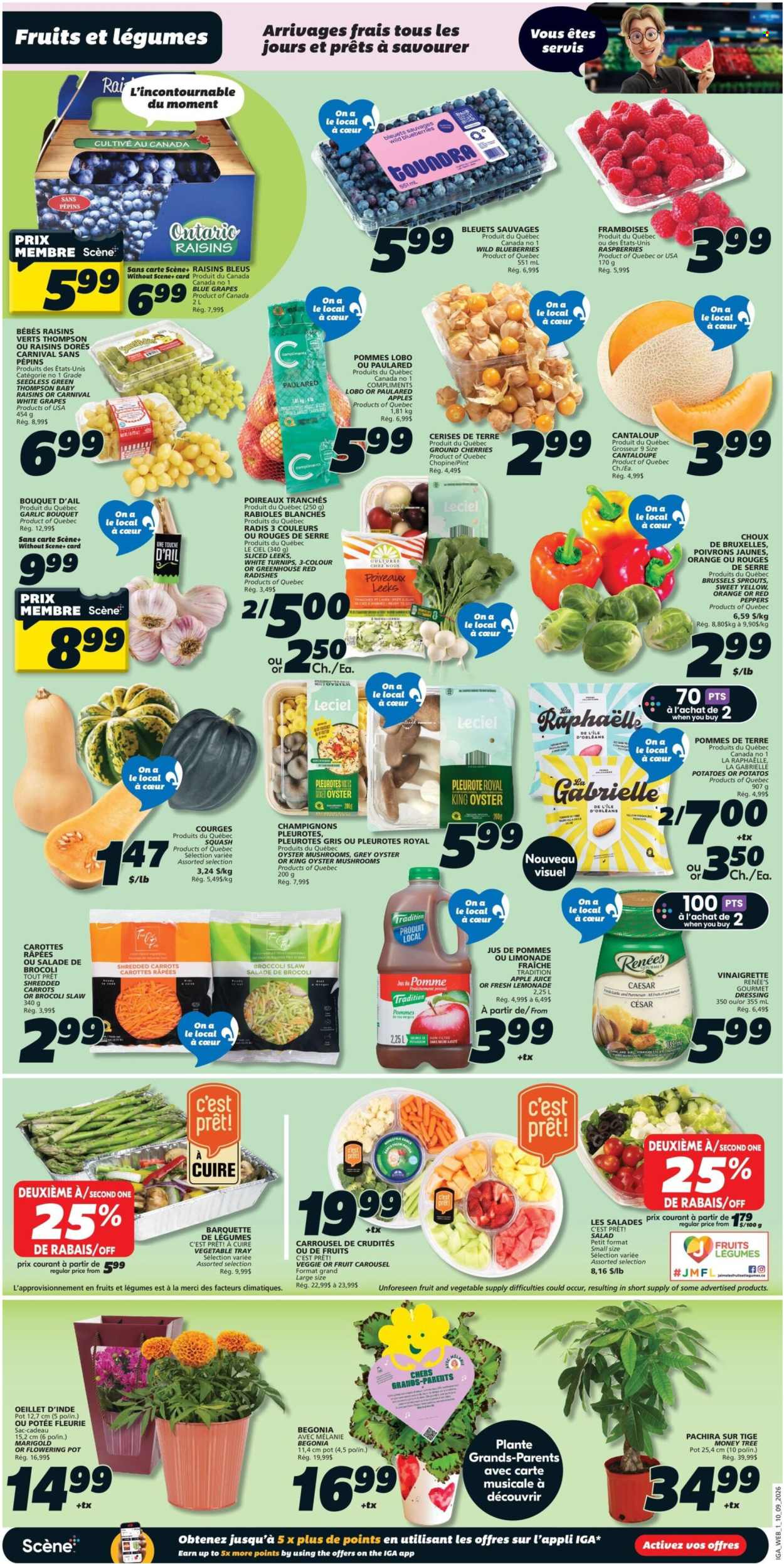IGA flyer - September 10, 2026 - September 16, 2026. Page 4