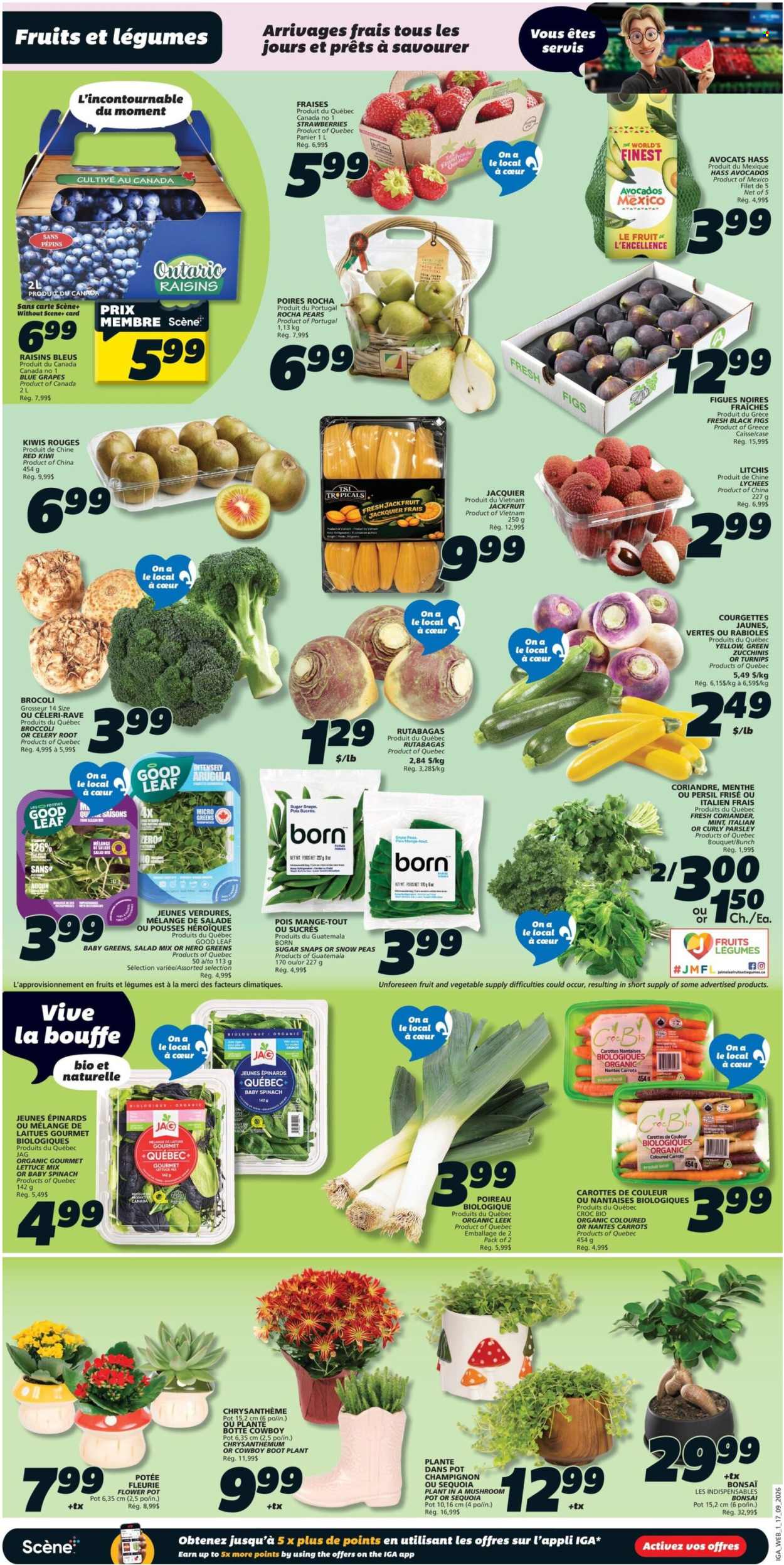 IGA flyer - September 17, 2026 - September 23, 2026. Page 3