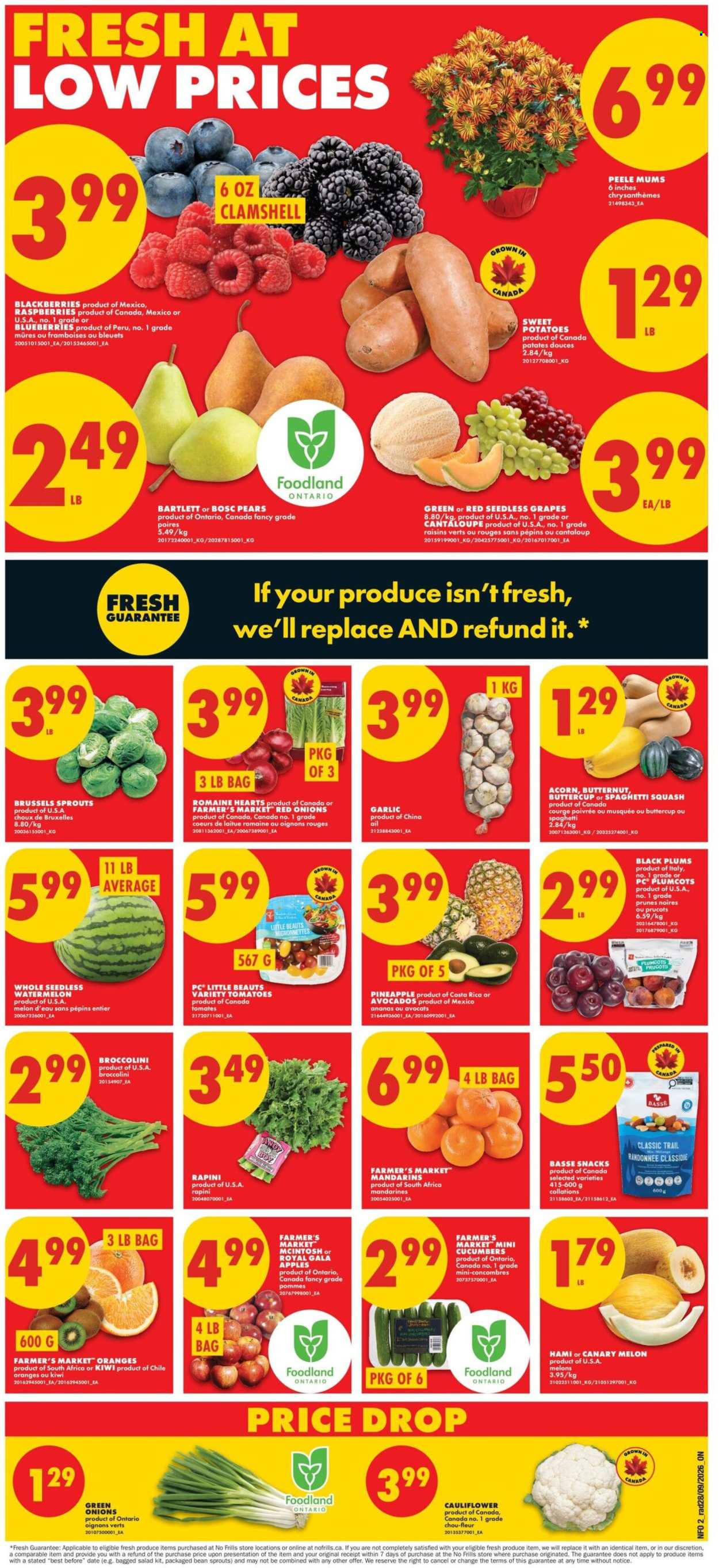 No Frills flyer - October 01, 2026 - October 07, 2026. Page 2