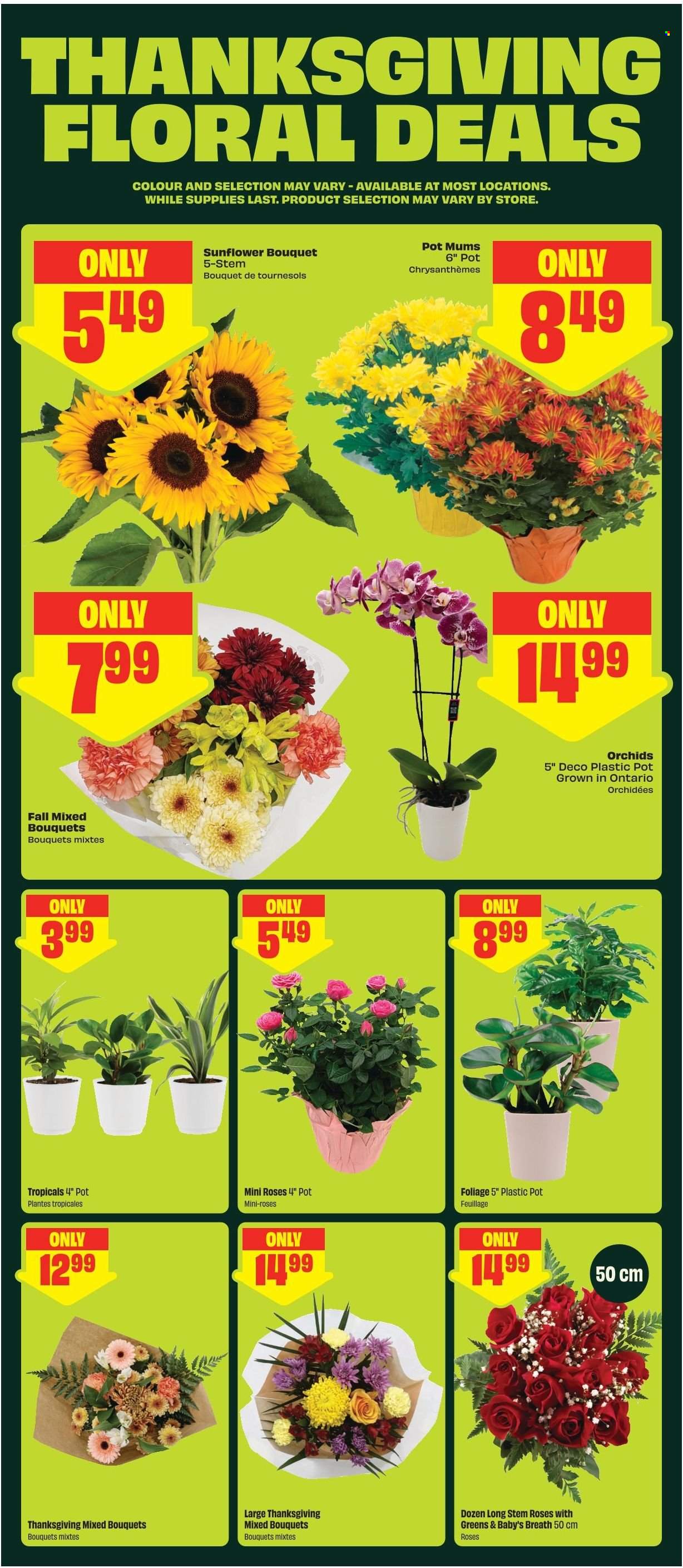 FreshCo. flyer - October 01, 2026 - October 07, 2026. Page 6