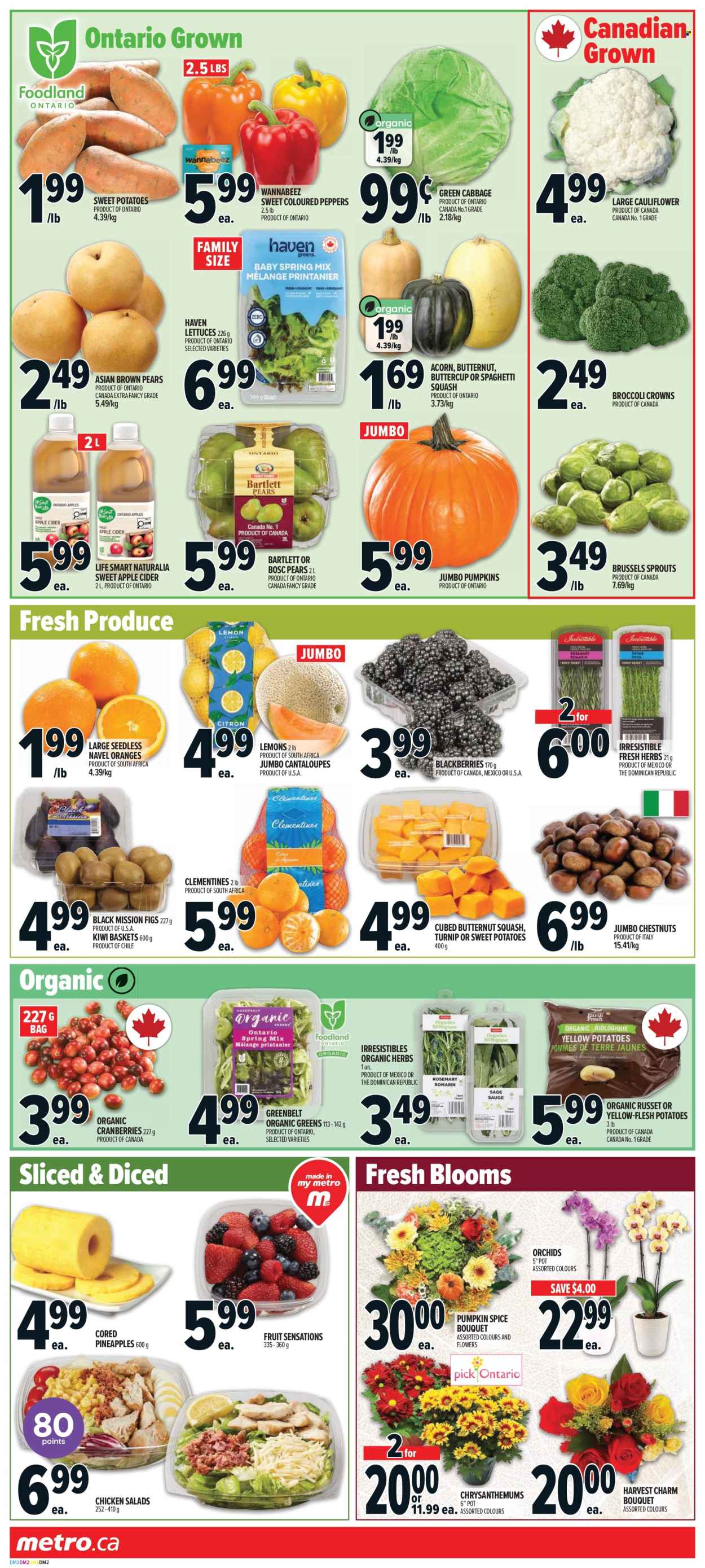 Metro flyer - October 01, 2026 - October 07, 2026. Page 3