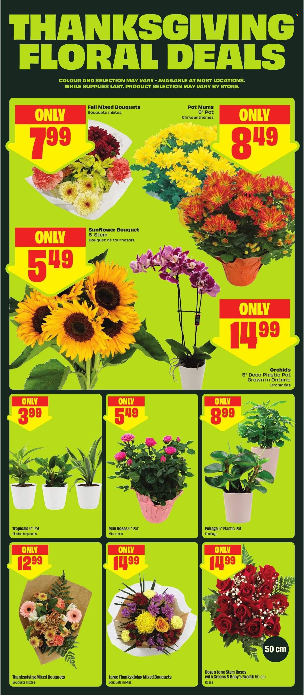 Chalo! FreshCo. flyer - October 08, 2026 - October 14, 2026. Page 6