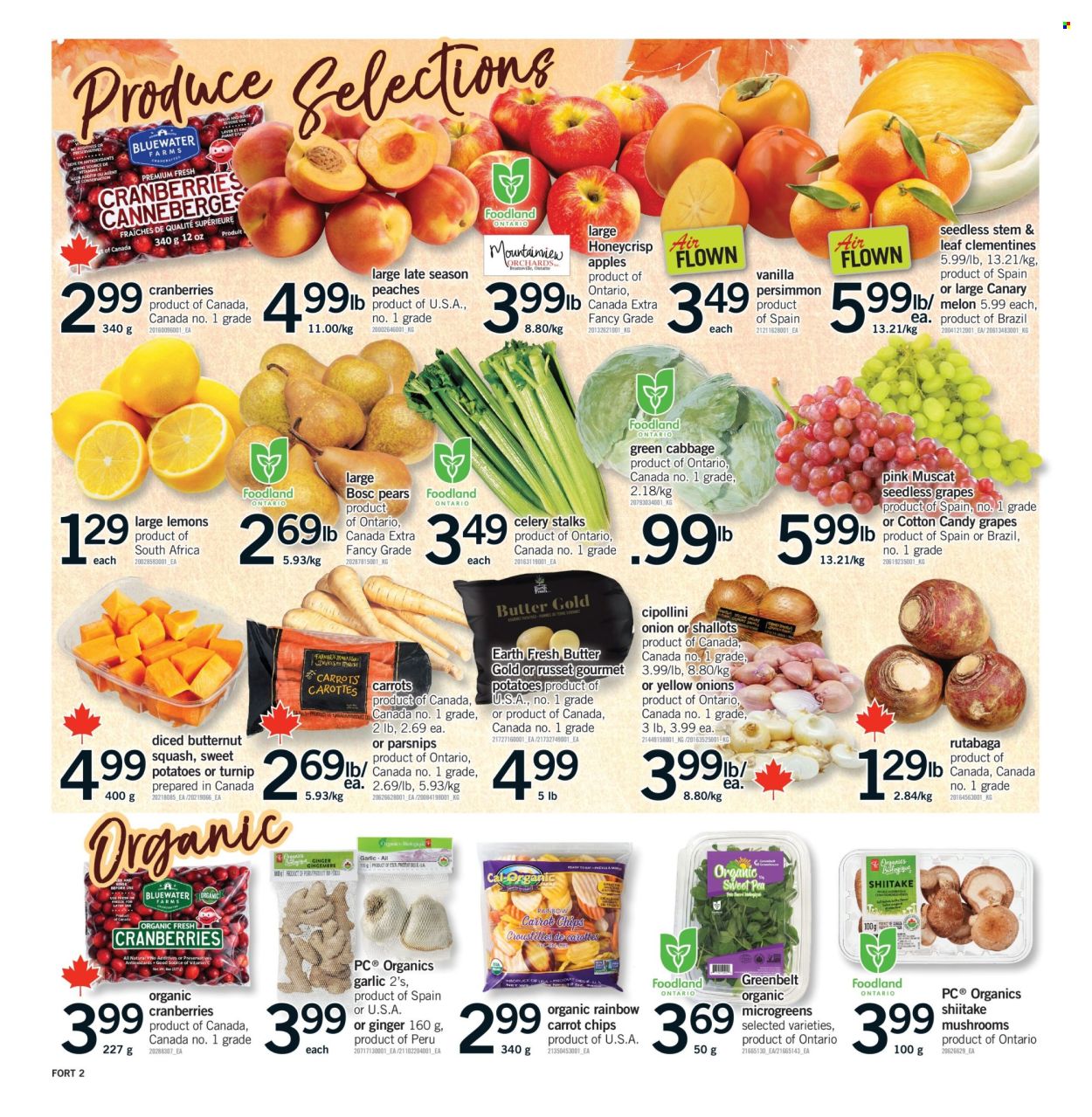 Fortinos flyer - October 08, 2026 - October 11, 2026. Page 3