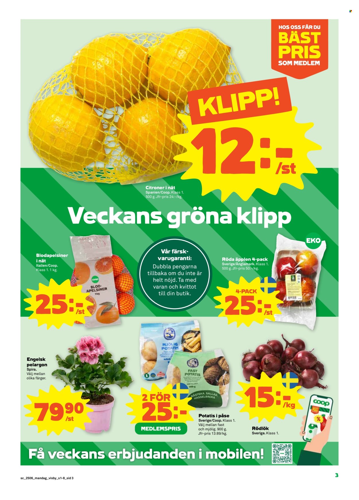 Stora Coop reklamblad - 3/2 2025 - 9/2 2025. Sida 3