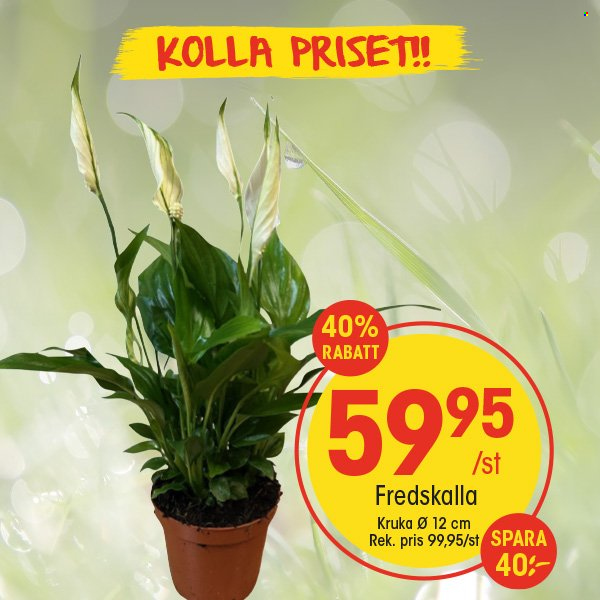 EKO reklamblad. Sida 3