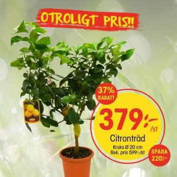 EKO reklamblad.