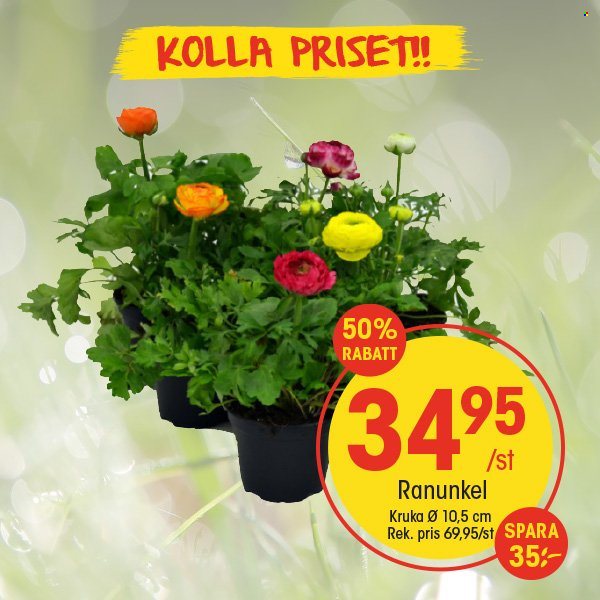 EKO reklamblad. Sida 5