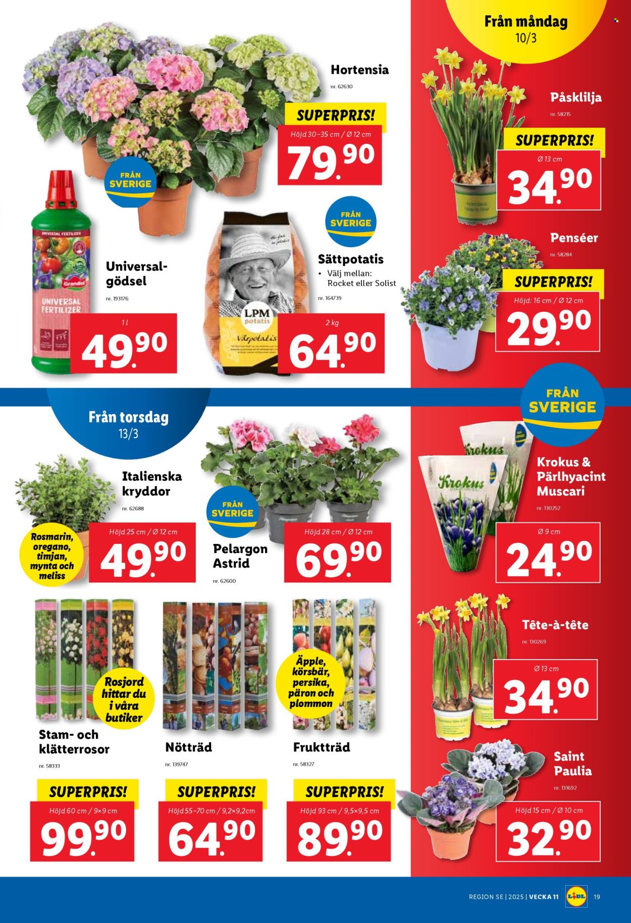 Lidl reklamblad - 10/3 2025 - 16/3 2025. Sida 20