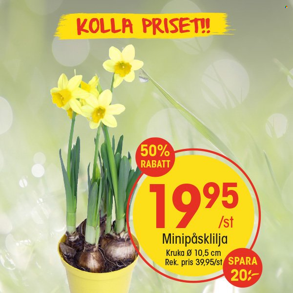 EKO reklamblad - 10/3 2025 - 16/3 2025. Sida 4