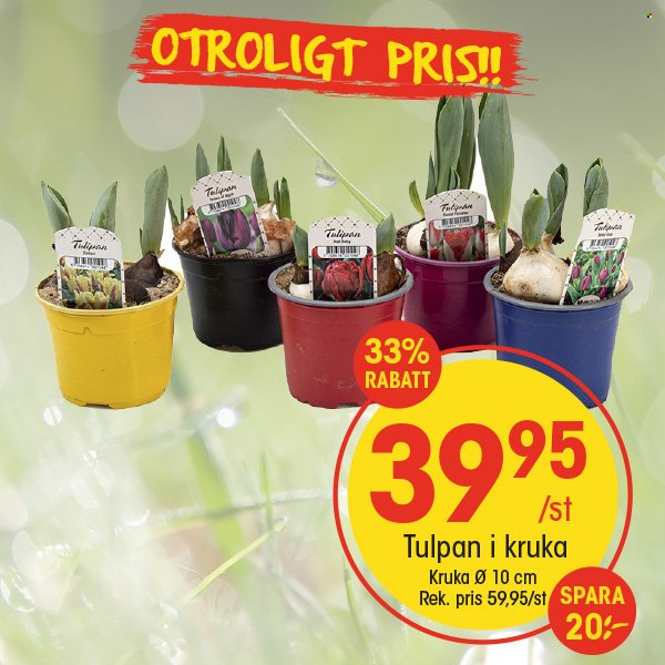 EKO reklamblad - 10/3 2025 - 16/3 2025. Sida 7