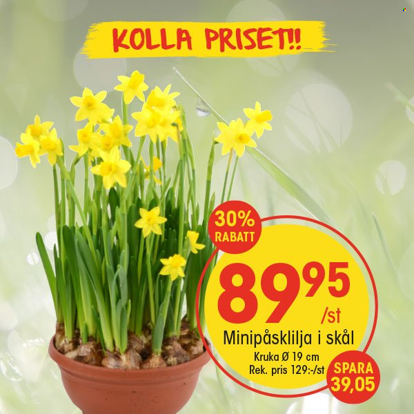 EKO reklamblad. Sida 6