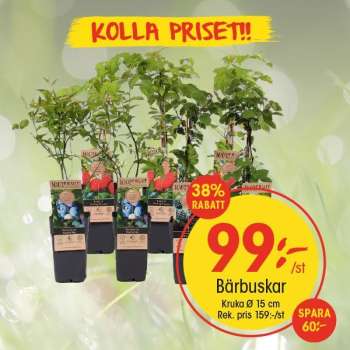 EKO reklamblad.