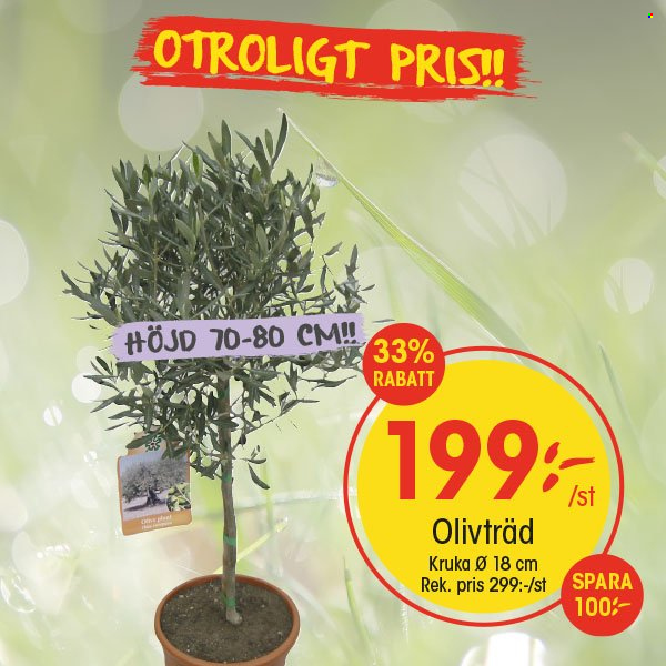 EKO reklamblad. Sida 5