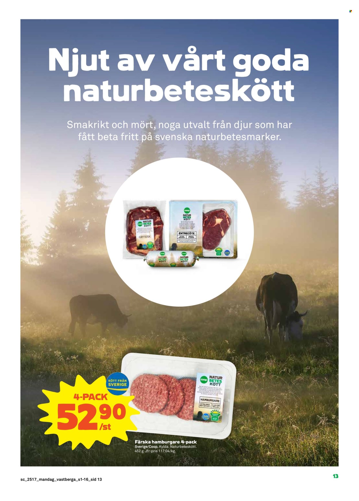 Stora Coop reklamblad - 22/4 2025 - 27/4 2025. Sida 13