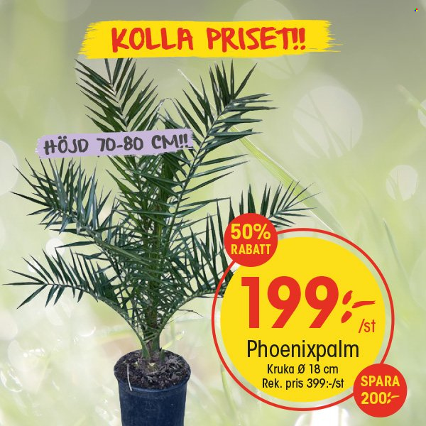 EKO reklamblad. Sida 2