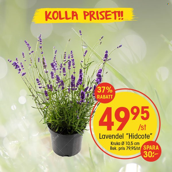 EKO reklamblad. Sida 8