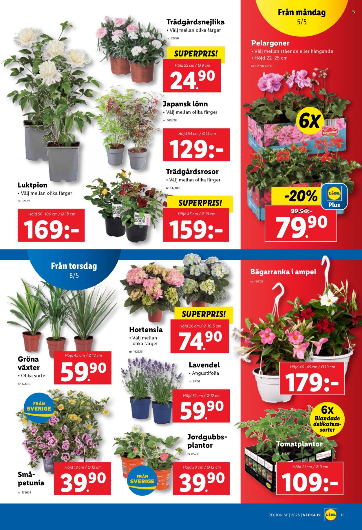 Lidl reklamblad - 5/5 2025 - 11/5 2025. Sida 19