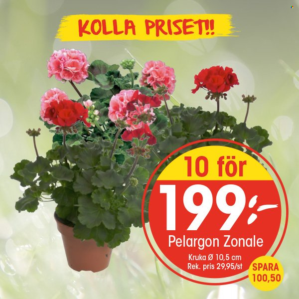 EKO reklamblad. Sida 11