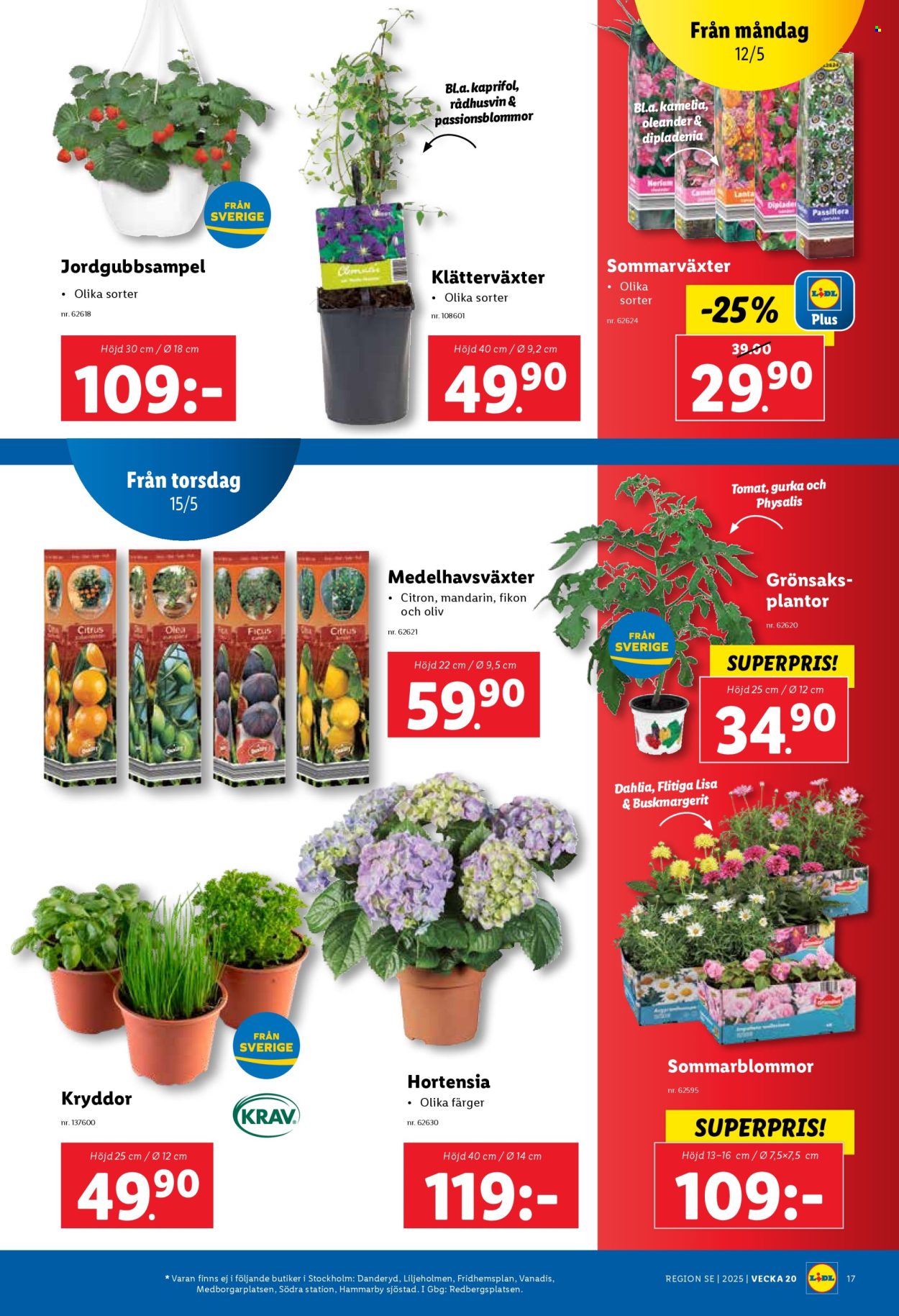 Lidl reklamblad - 12/5 2025 - 18/5 2025. Sida 21