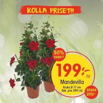 EKO reklamblad - 12/5 2025 - 18/5 2025.