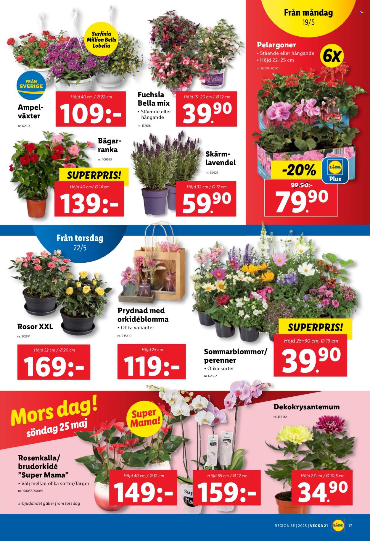 Lidl reklamblad - 19/5 2025 - 25/5 2025. Sida 20