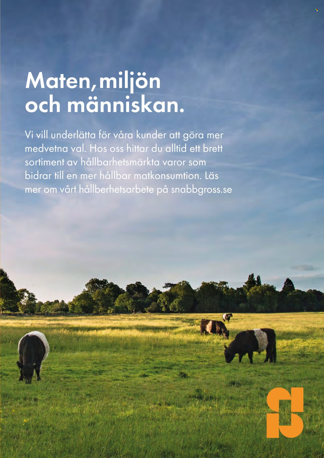 Snabbgross reklamblad - 22/5 2025 - 25/5 2025. Sida 11