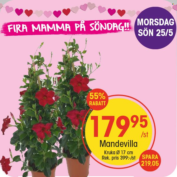 EKO reklamblad - 25/5 2025 - 25/5 2025. Sida 2