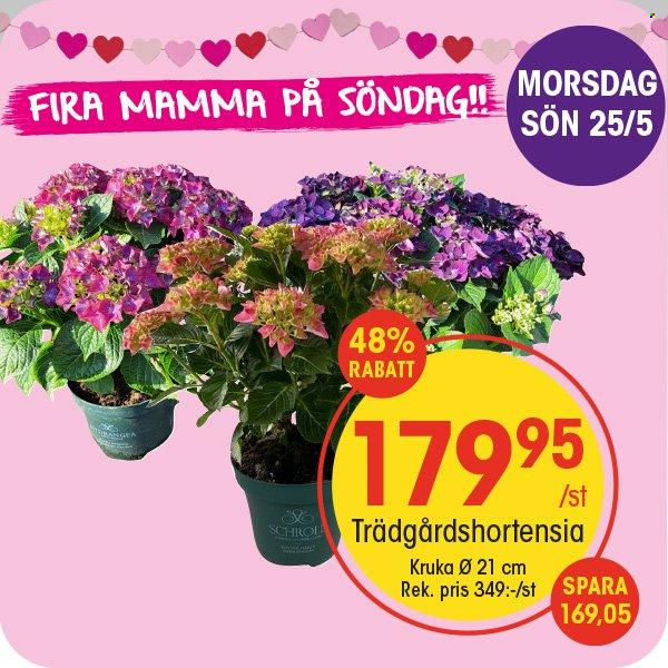 EKO reklamblad - 25/5 2025 - 25/5 2025. Sida 5